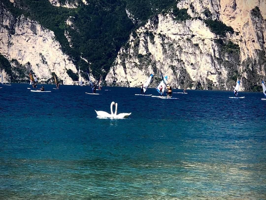 Infinite Blue Apartment Riva del Garda Bagian luar foto